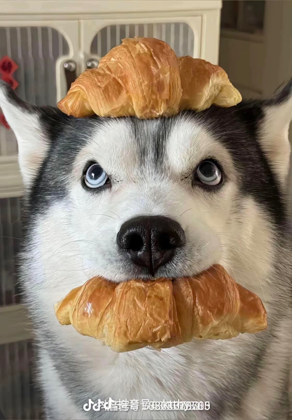 ᵗˢ 𝓕𝓪𝓷𝓬𝔂💍 OnlyFans header