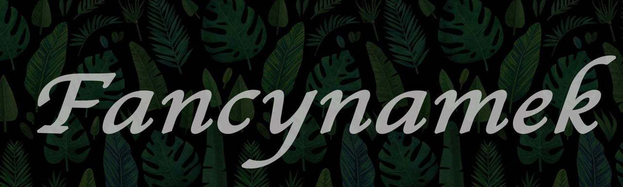 Fancynamek OnlyFans header