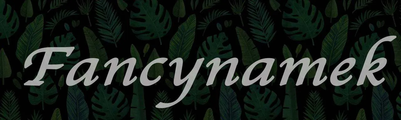 Fancynamek OnlyFans header