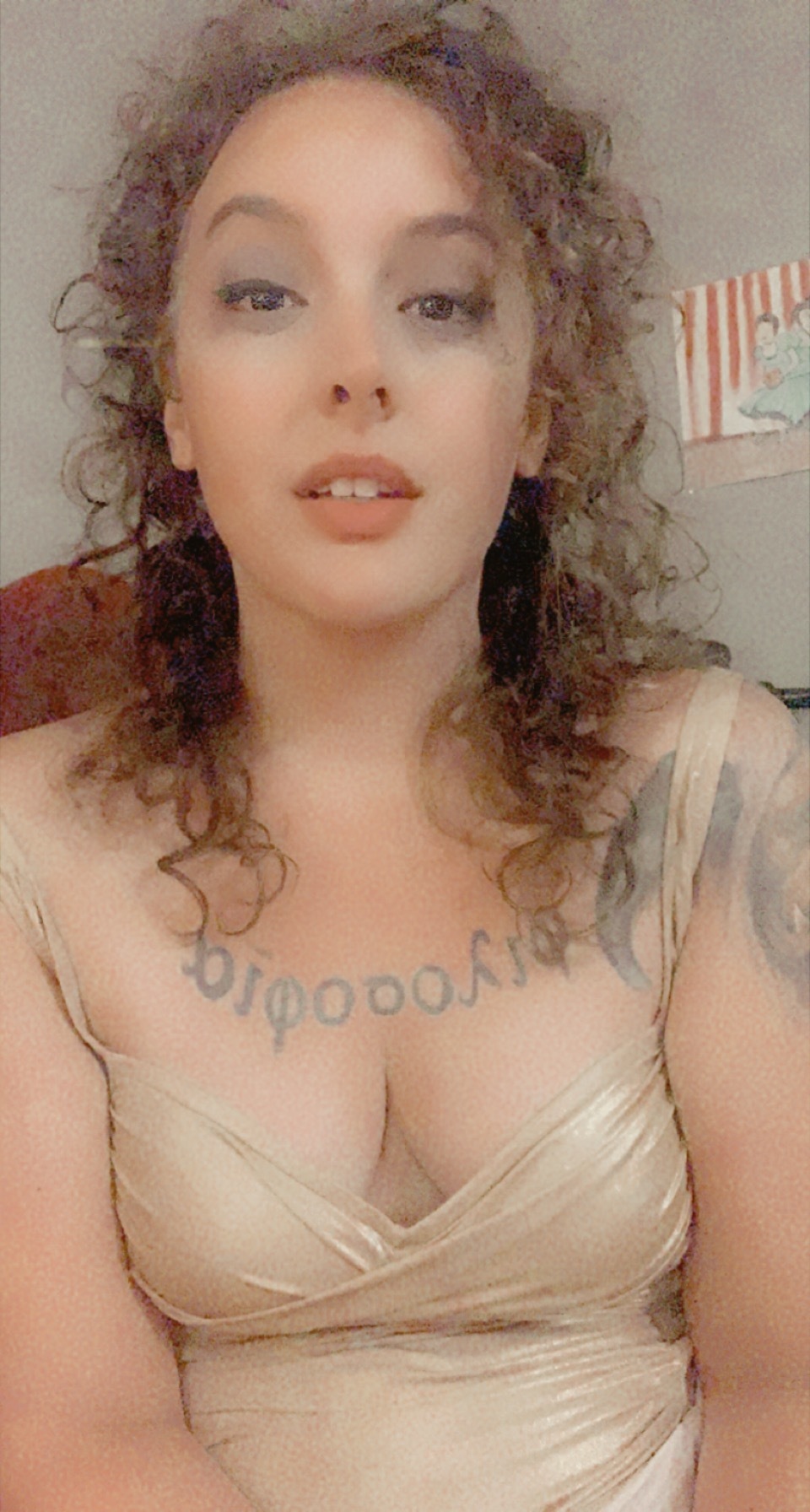 Fandoola OnlyFans header