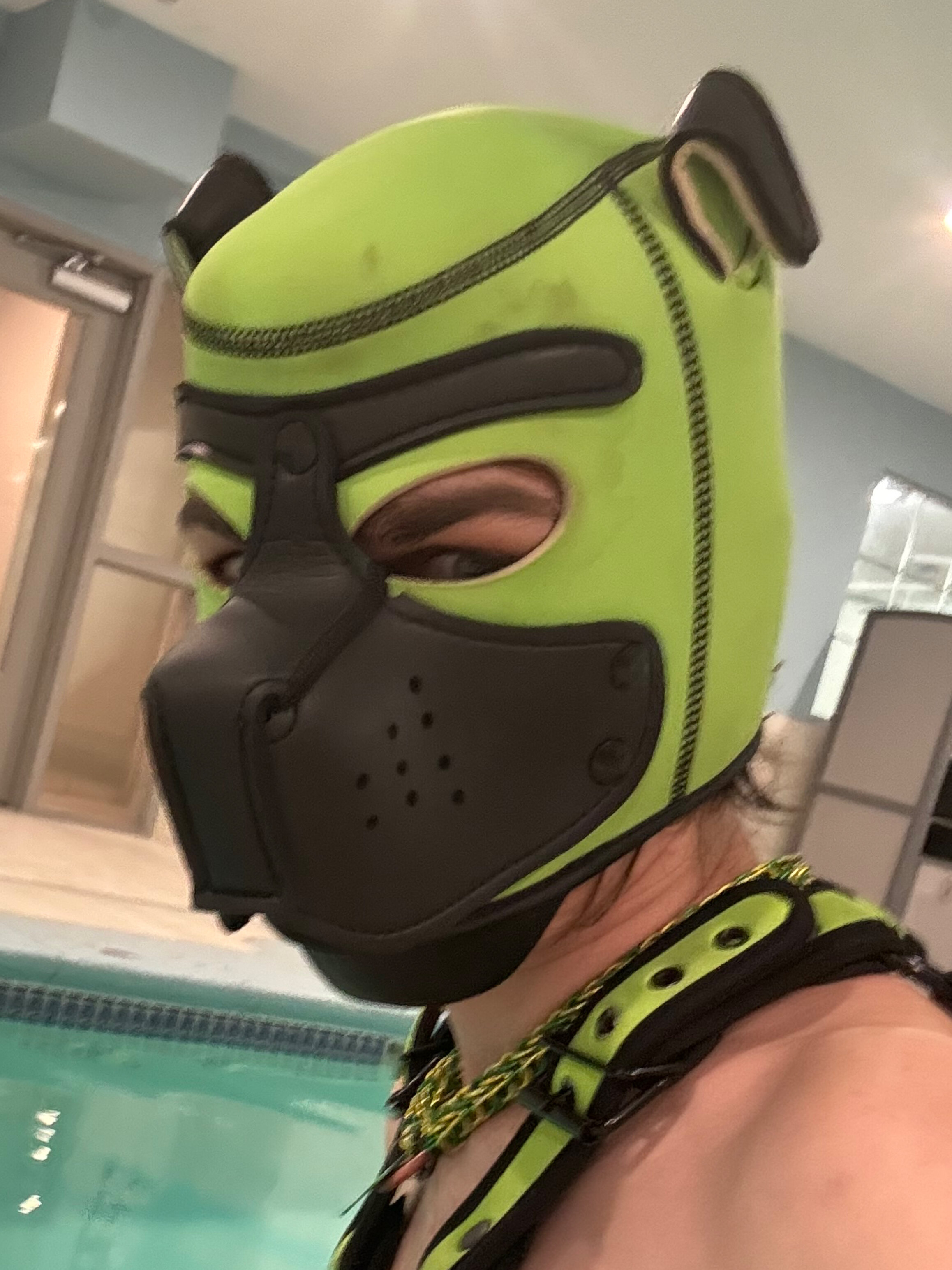 Fang G. OnlyFans header