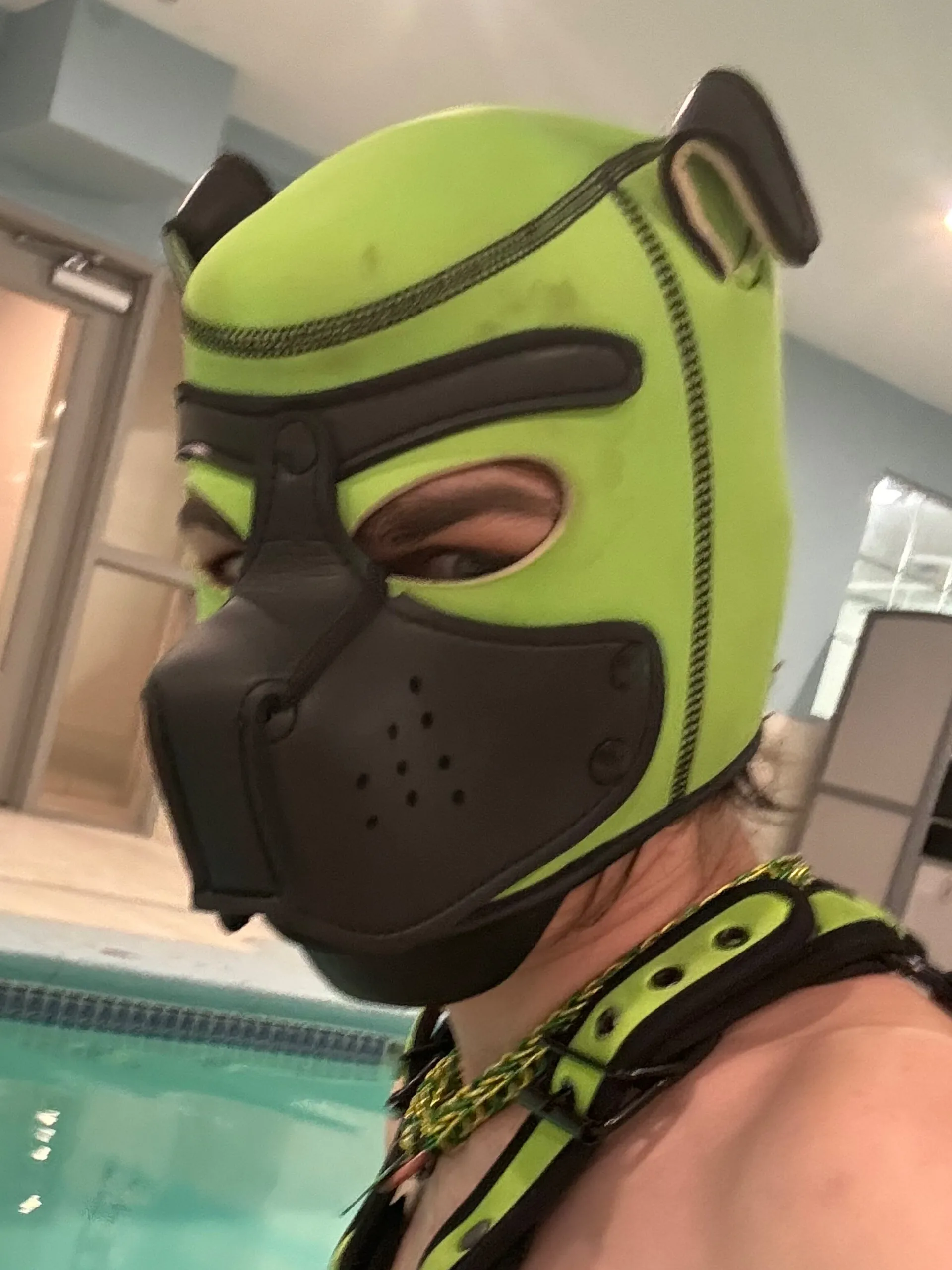 Fang G. OnlyFans header