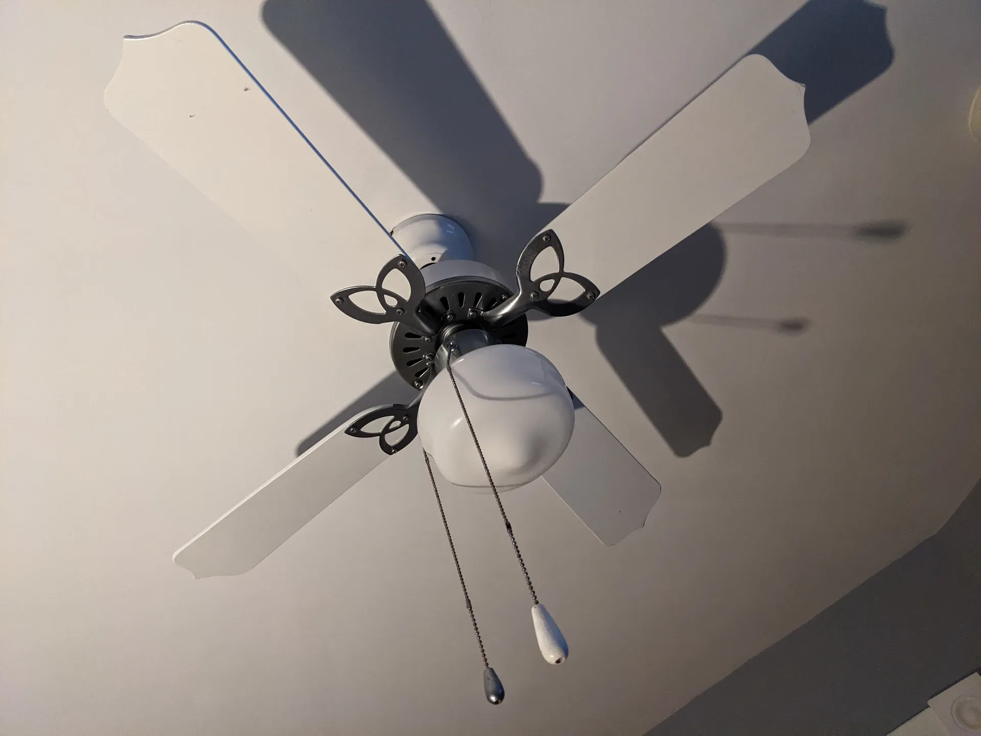 Fans cover