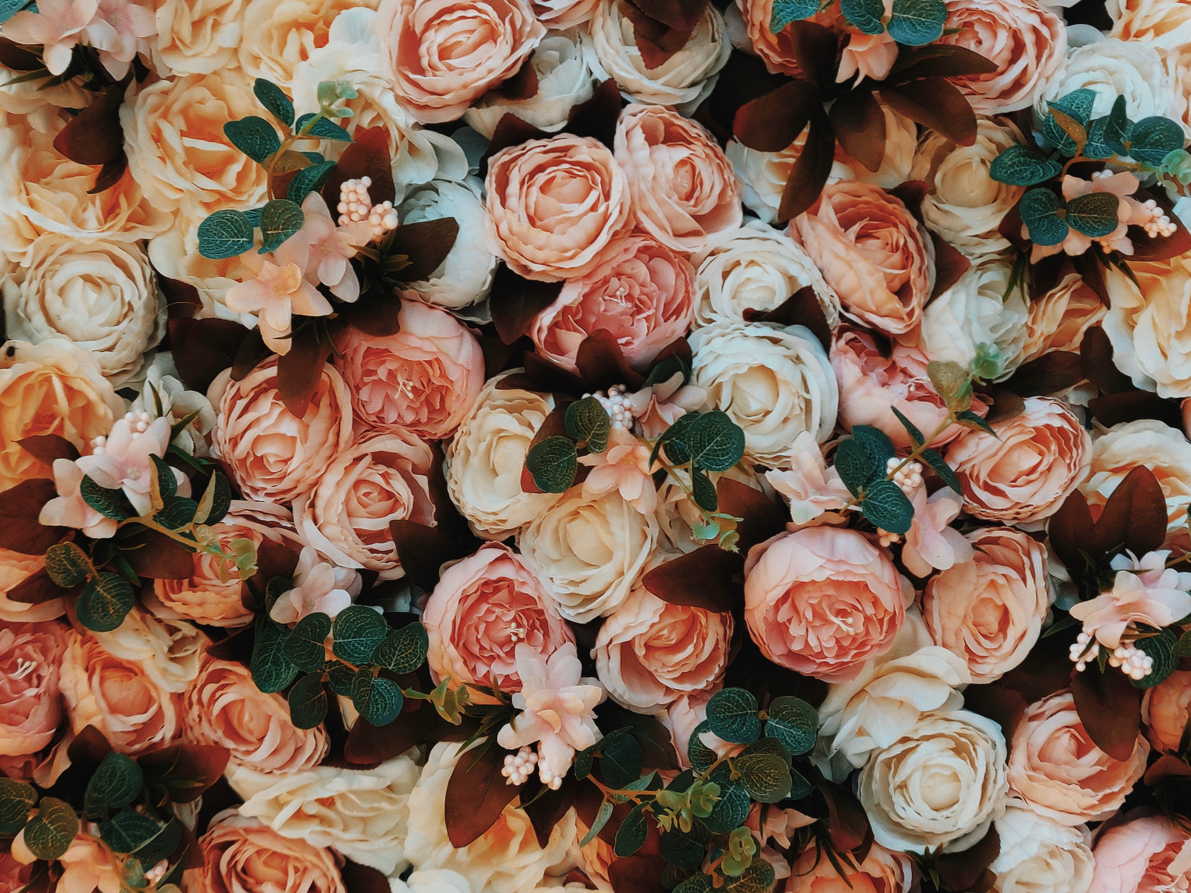 FanSee Feet OnlyFans header