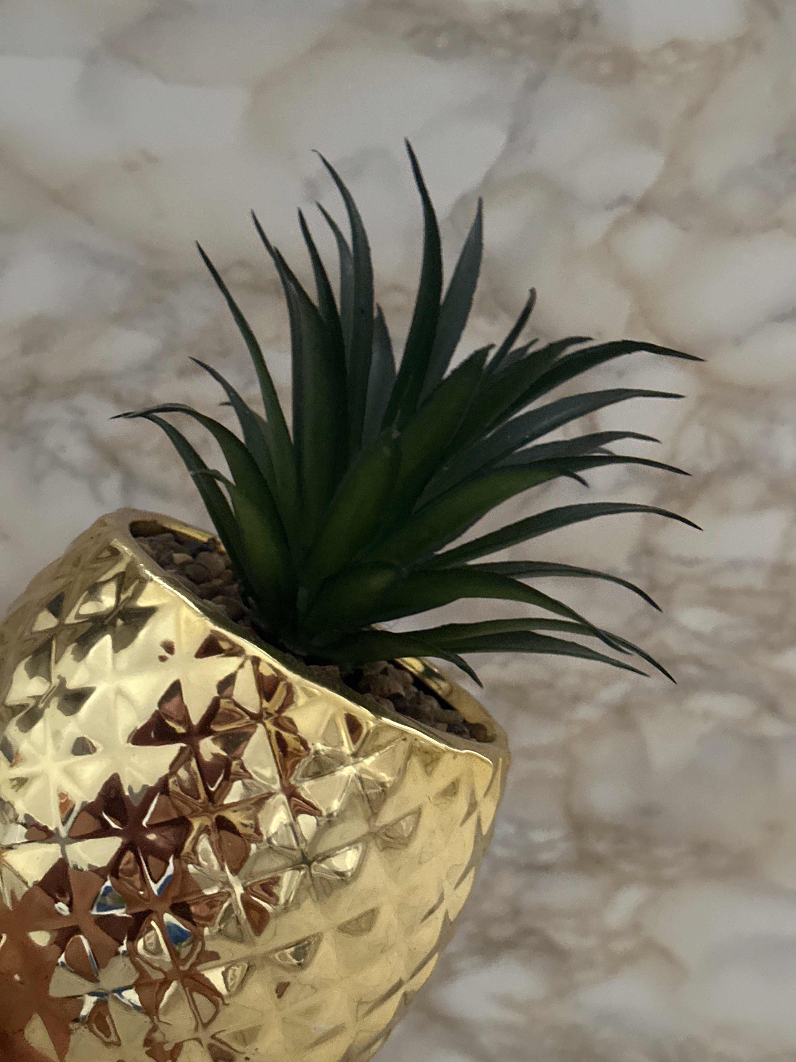 Tifanta OnlyFans header