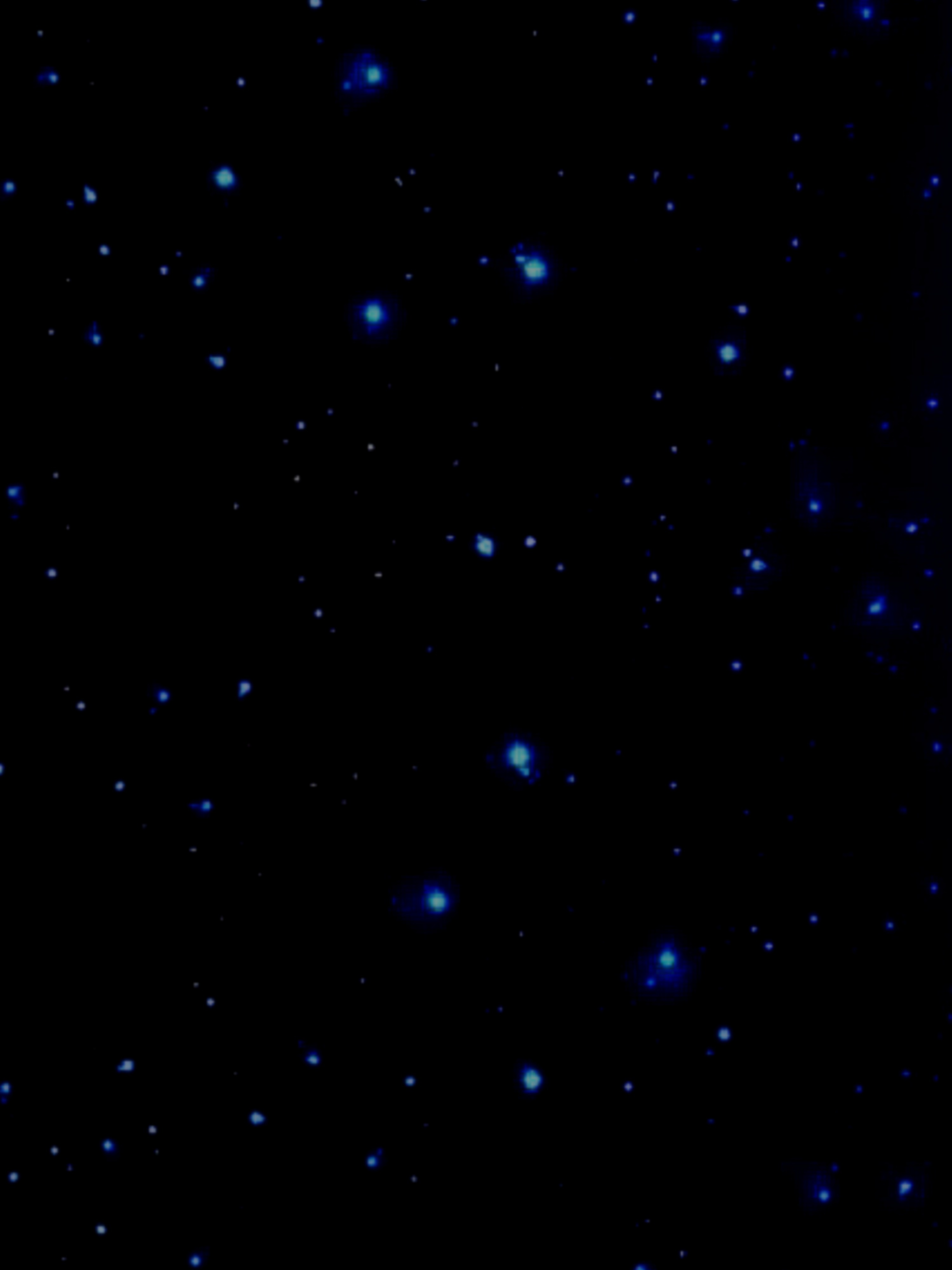 Fantasia Ferraro OnlyFans