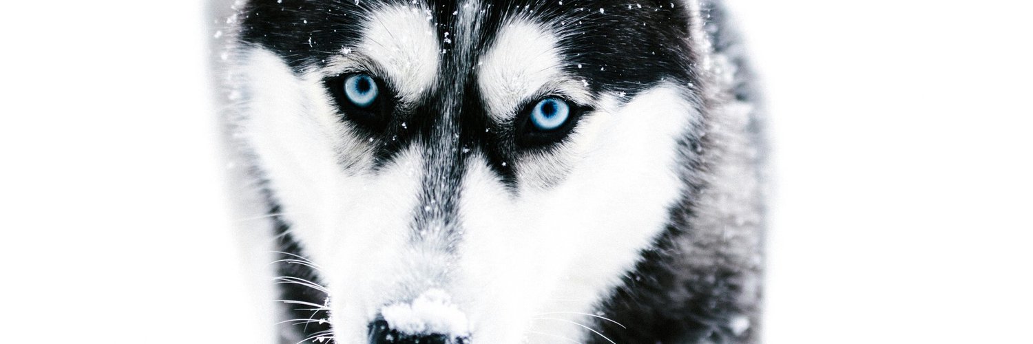 Erick sanchez OnlyFans header