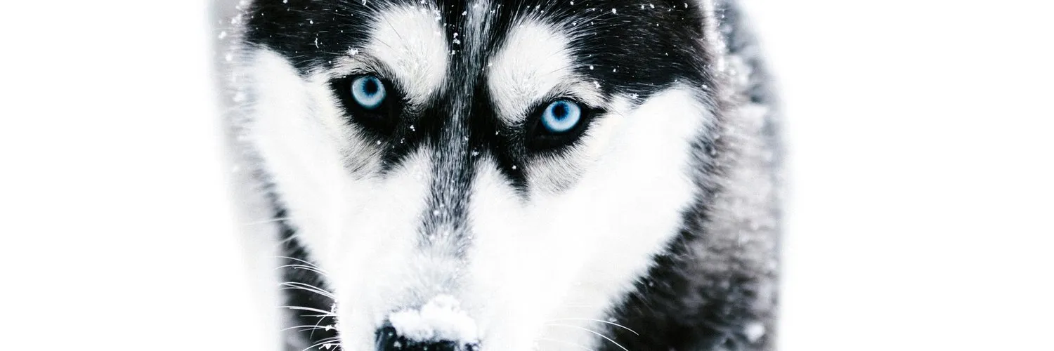 Erick sanchez OnlyFans header