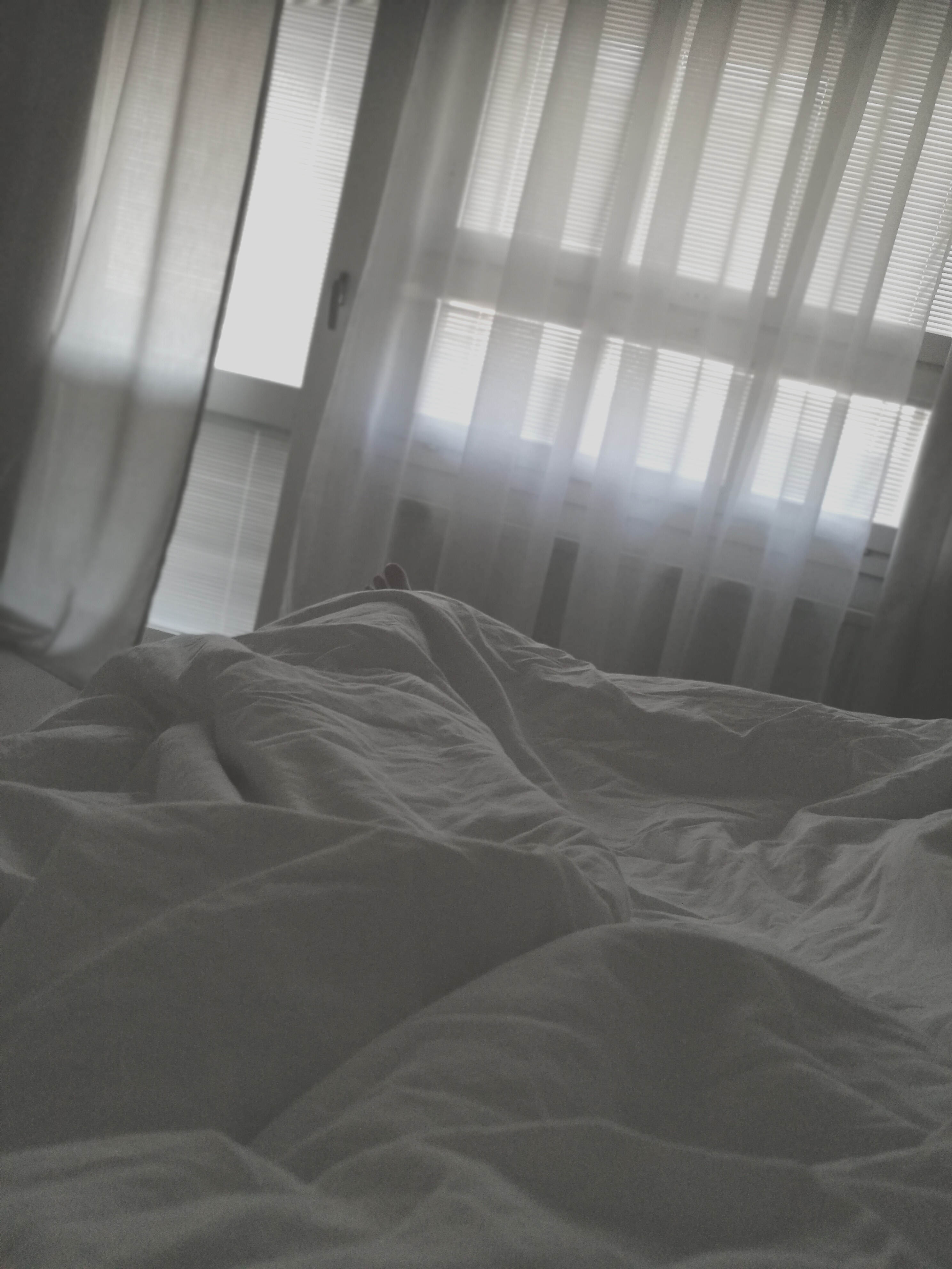 Nordicnudes OnlyFans header