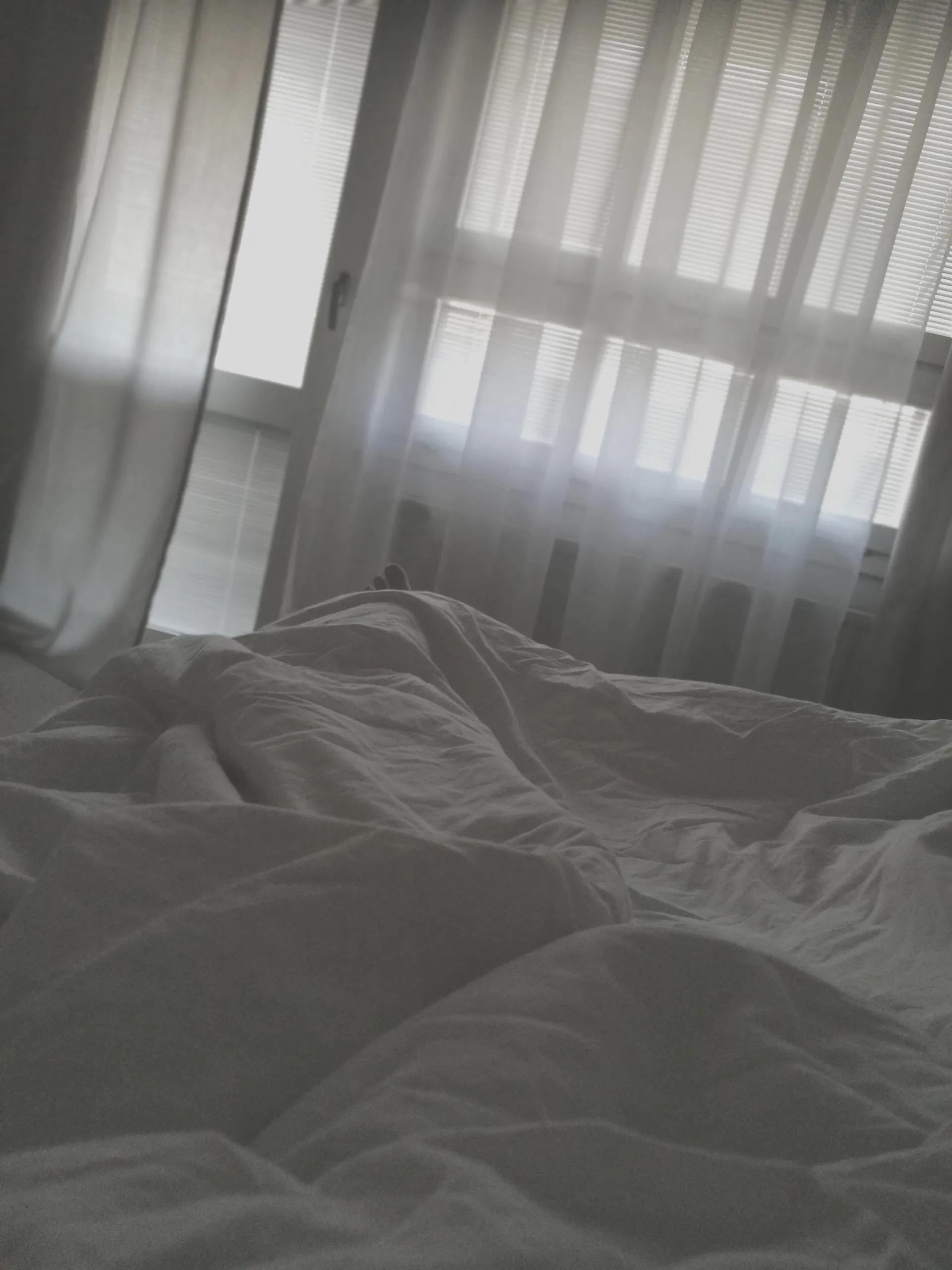 Nordicnudes OnlyFans header