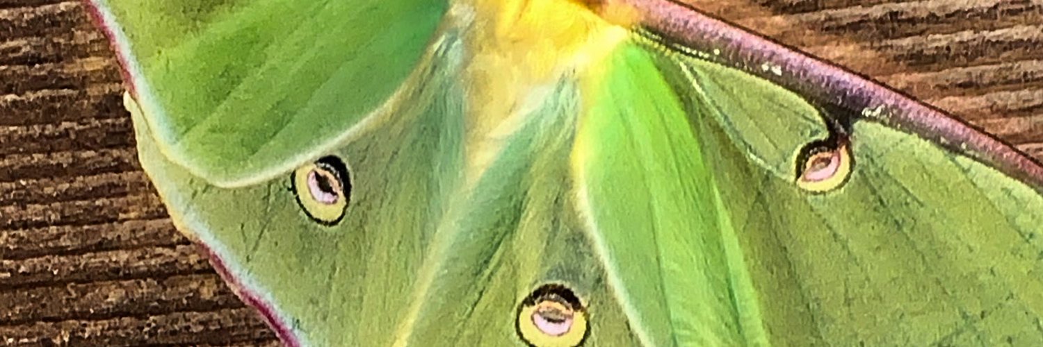 Bren OnlyFans header