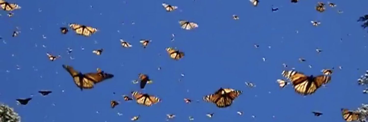 Fantasy💖 OnlyFans header