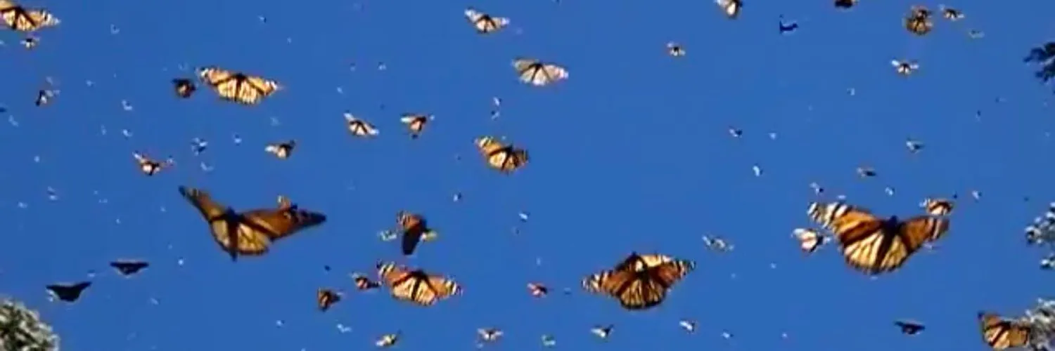 Fantasy💖 OnlyFans header