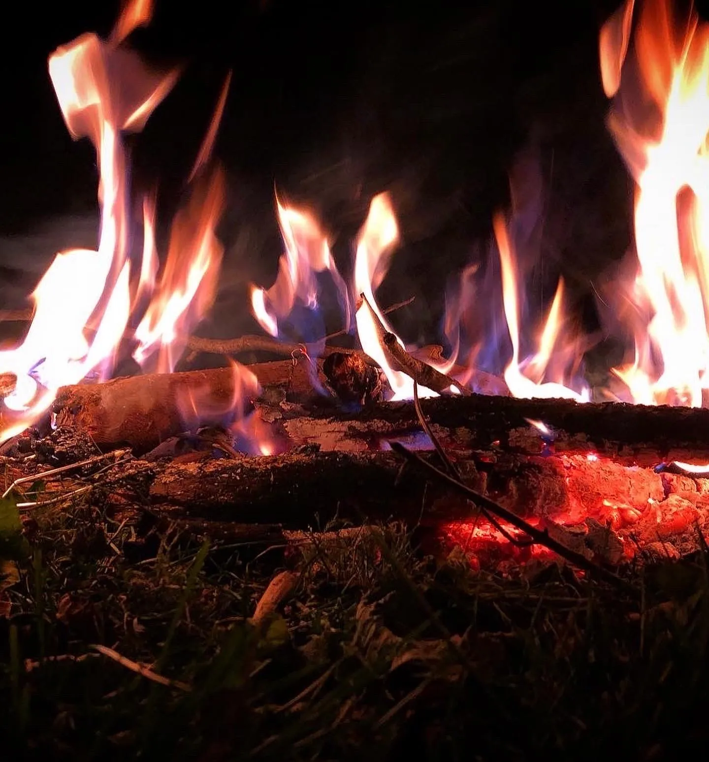 Fantasy Snobuni Queen OnlyFans header