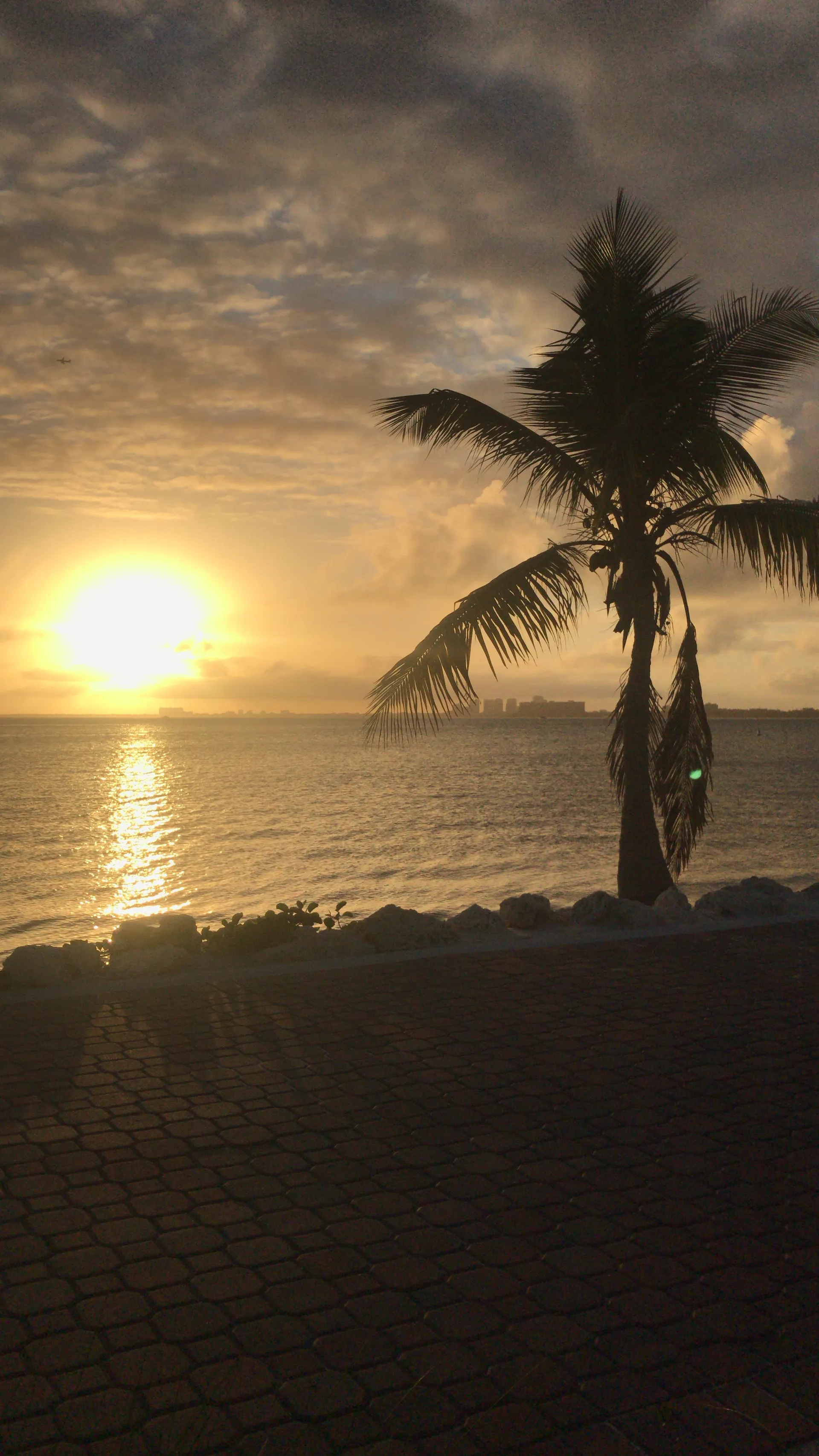 Fantastic OnlyFans header