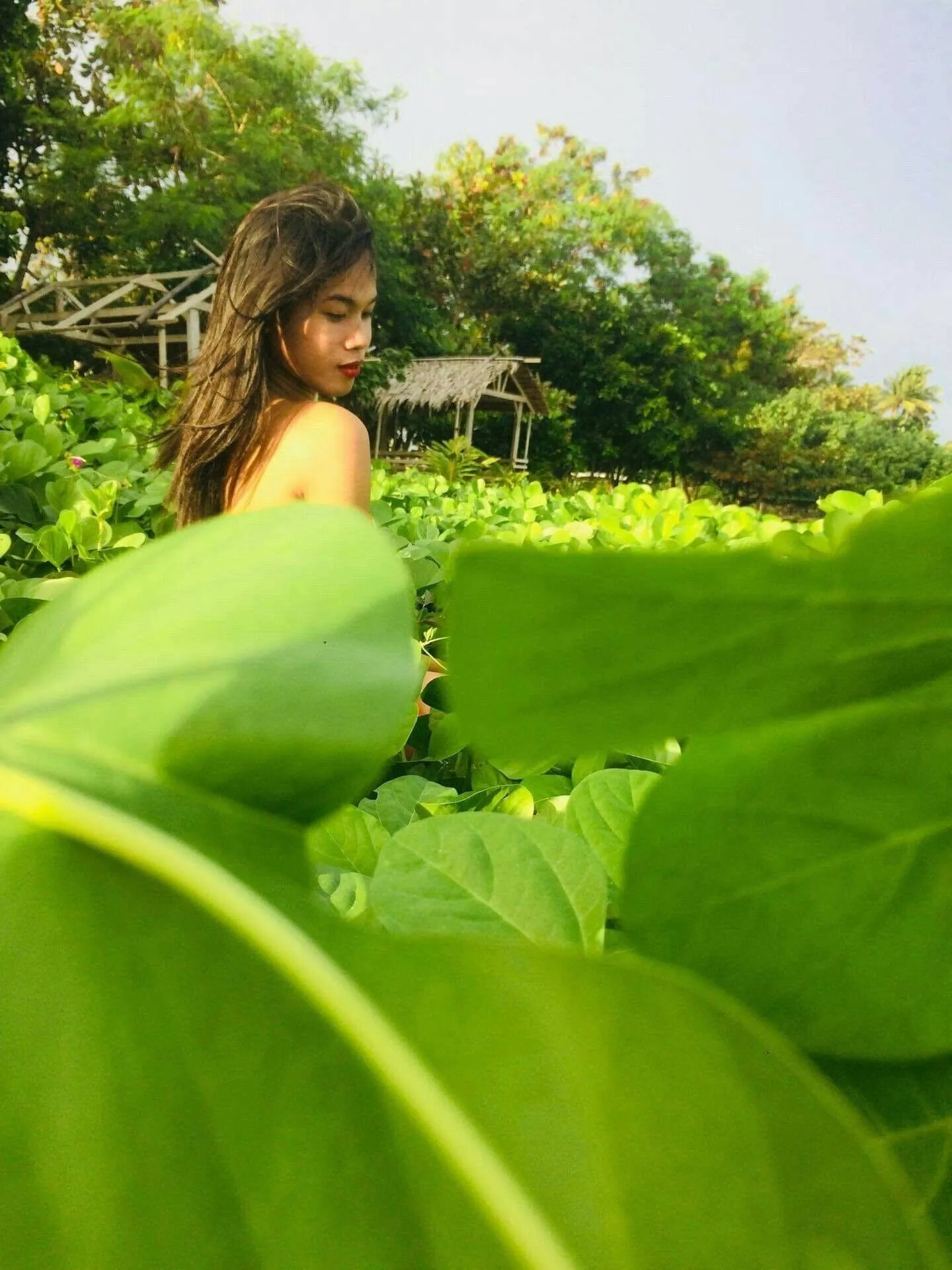 phia gaspar OnlyFans header