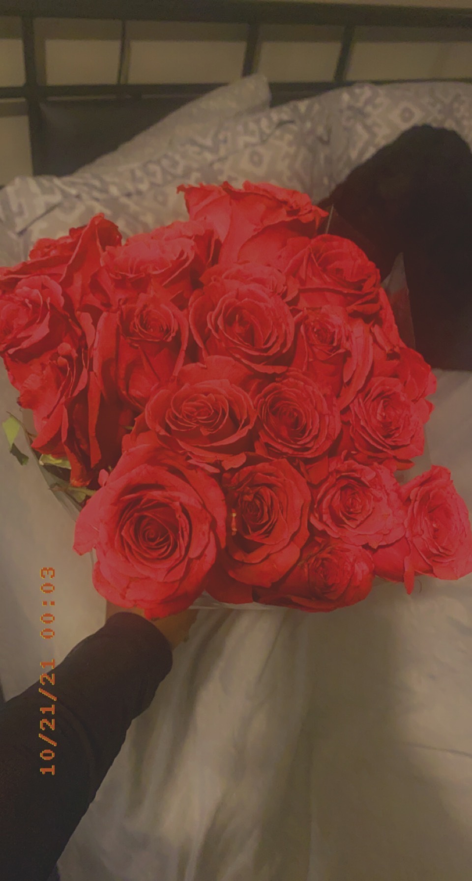 Bella OnlyFans header