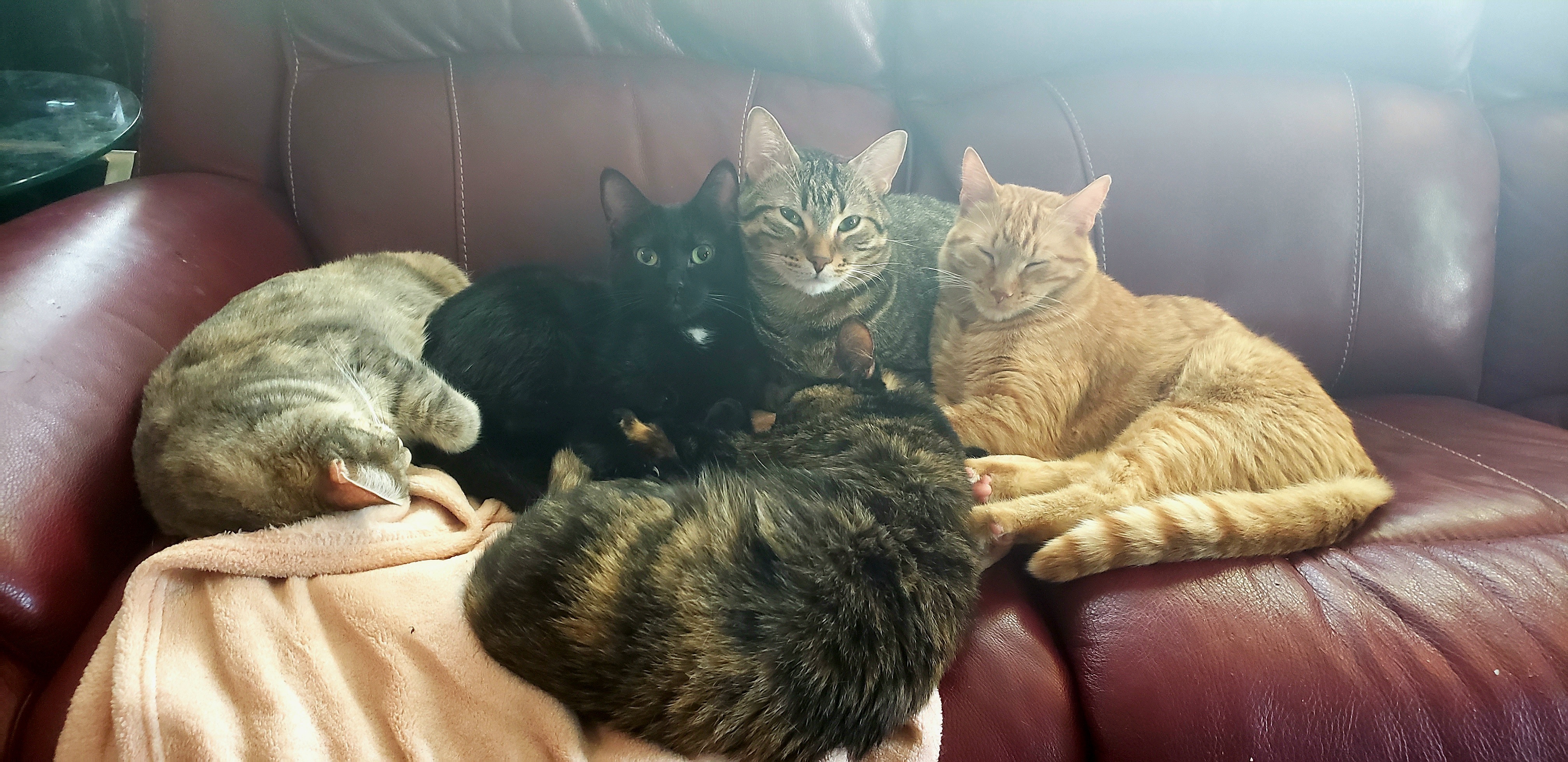 Jes Marie OnlyFans header