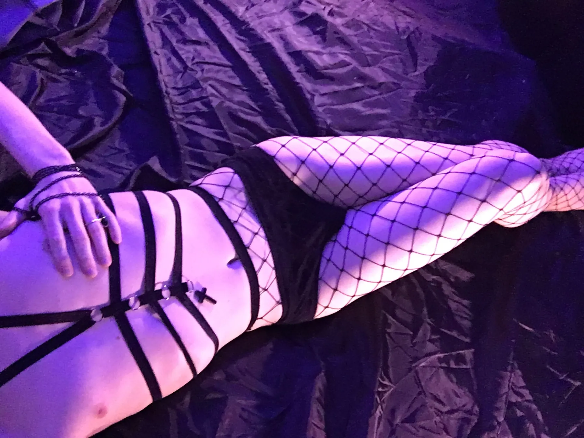 Fap Paw OnlyFans header