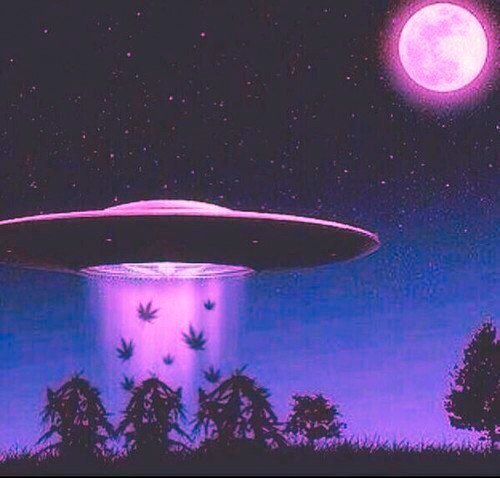 TheReasonYouFap Returns OnlyFans header