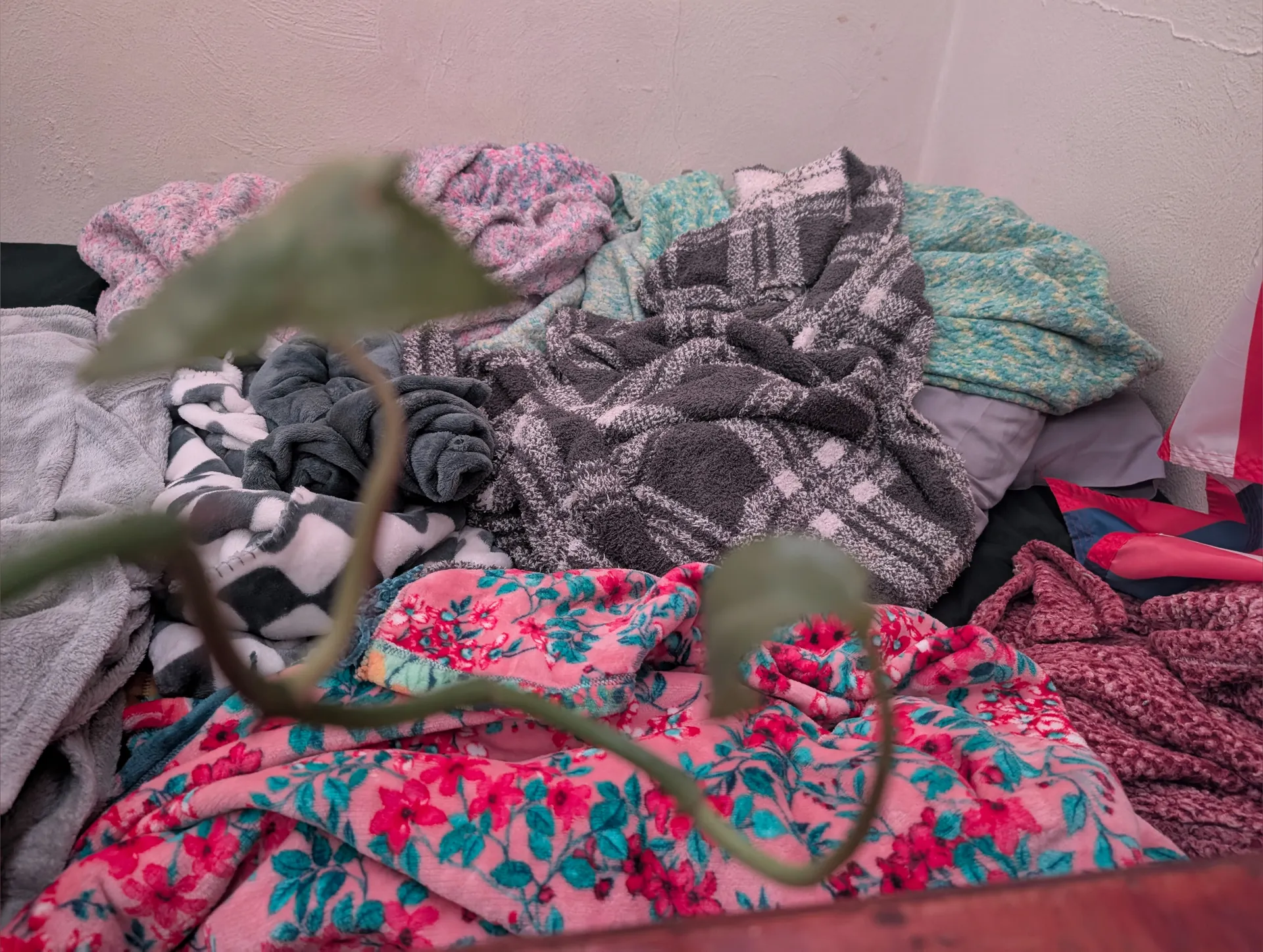 FapRic | Fapping W/ Fabrics OnlyFans header