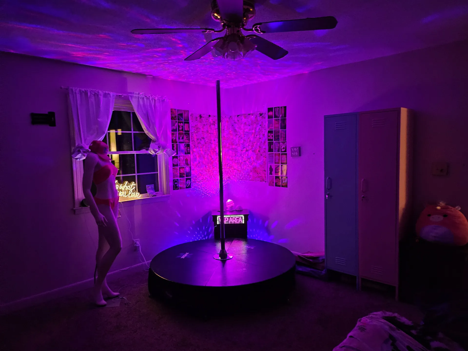 Jersey-Belle cover