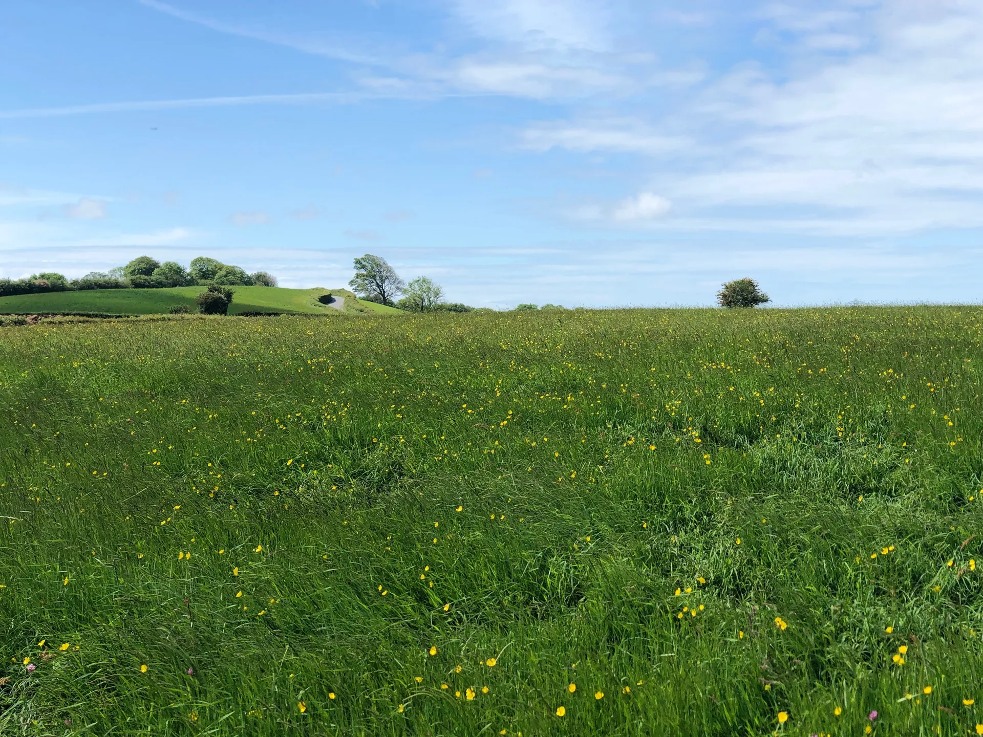 Farm girl 🌶 OnlyFans header