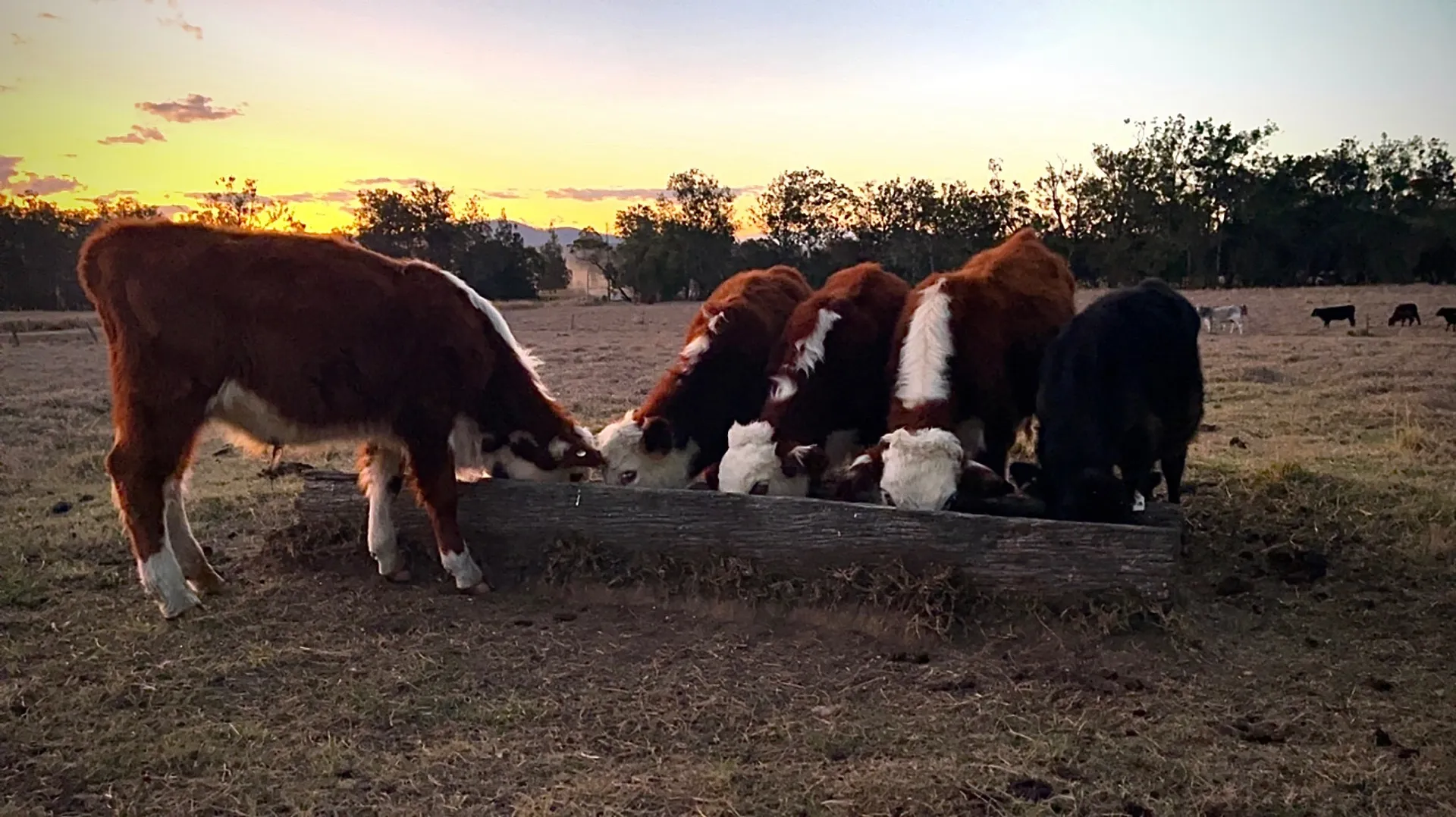 Luke OnlyFans header