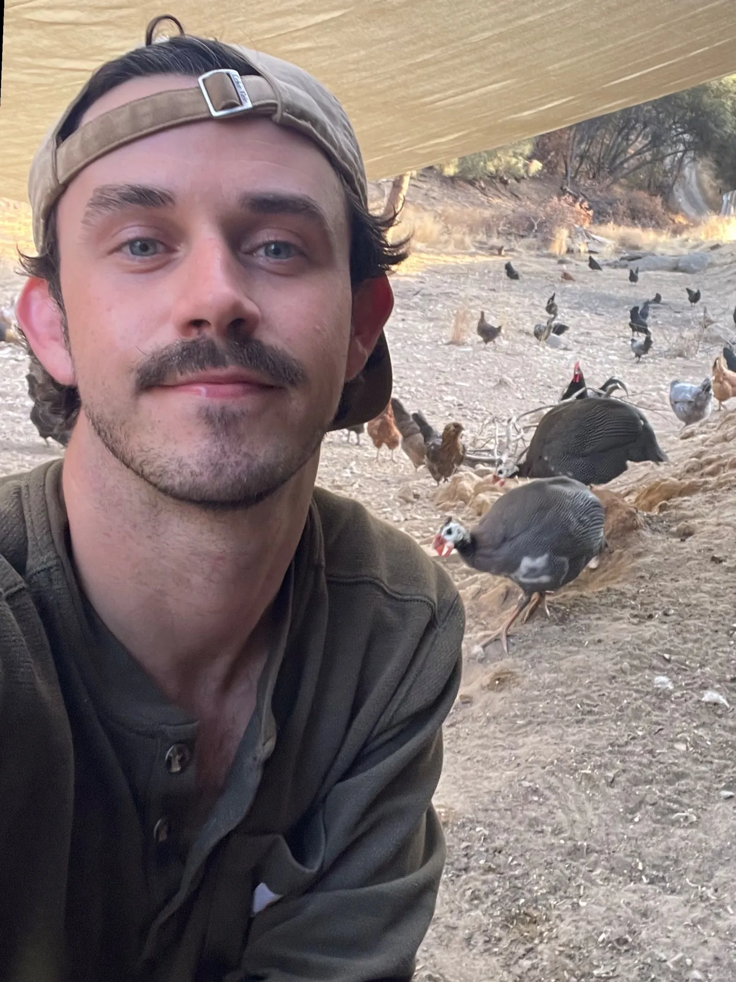 Farm Boy 🐓🏔🐑