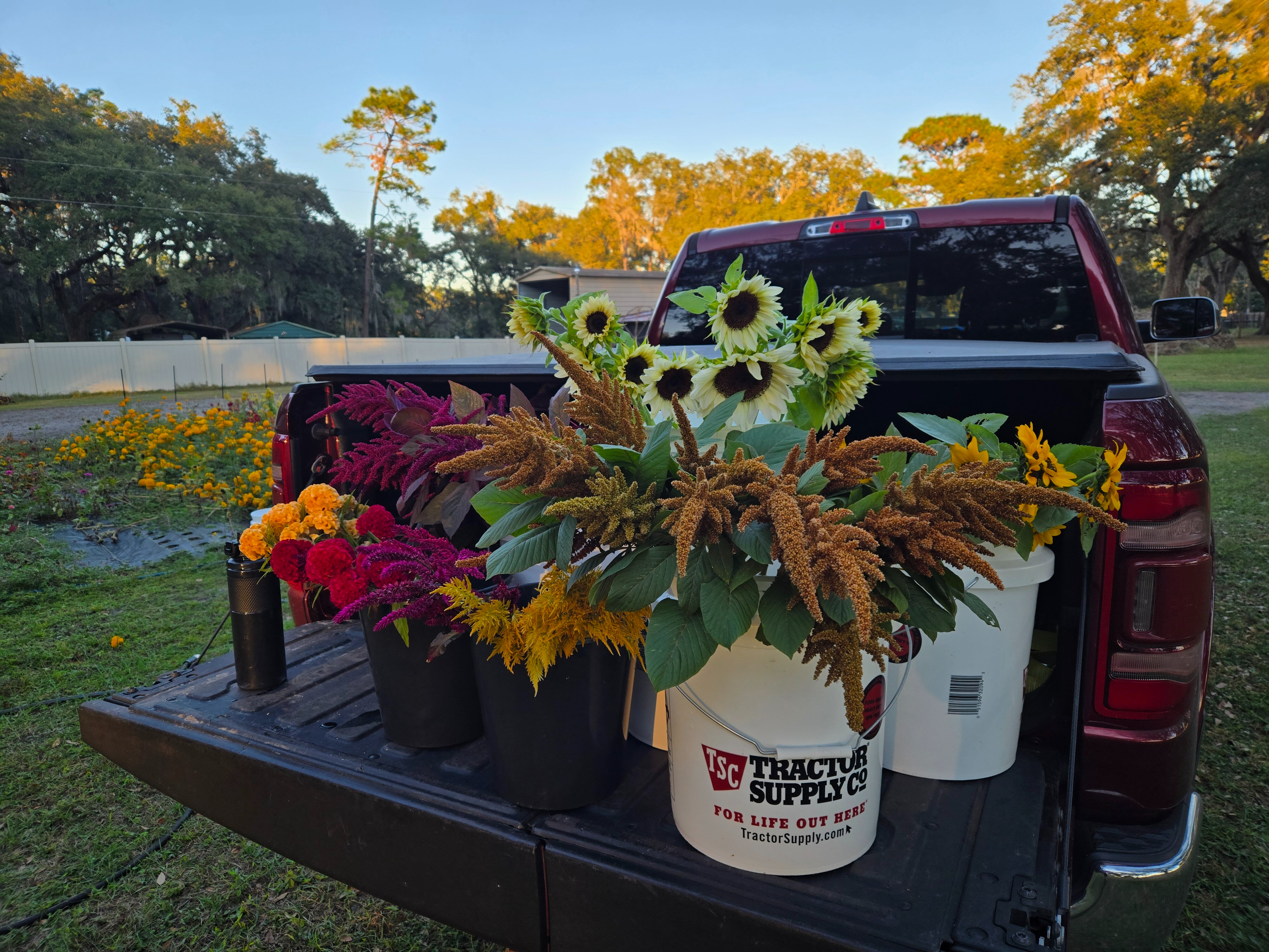 FarmDaddyJay OnlyFans header