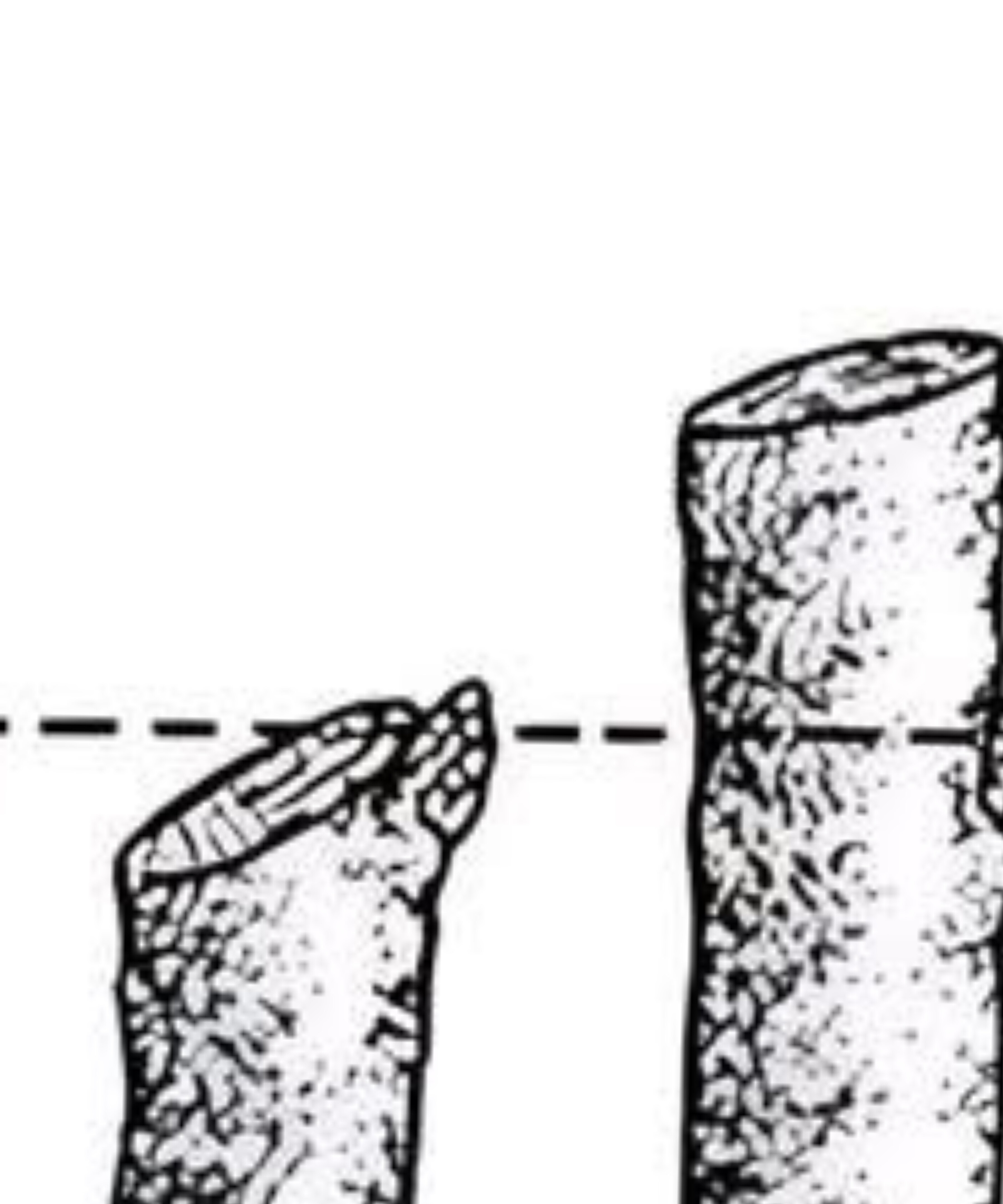 It's just me OnlyFans header