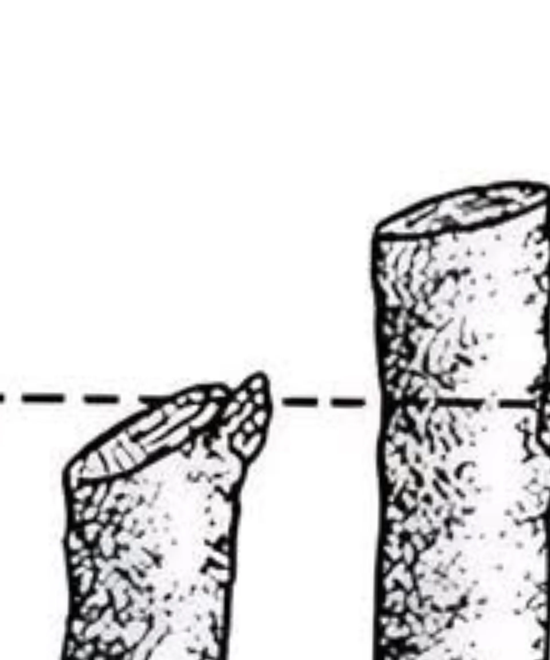 It's just me OnlyFans header