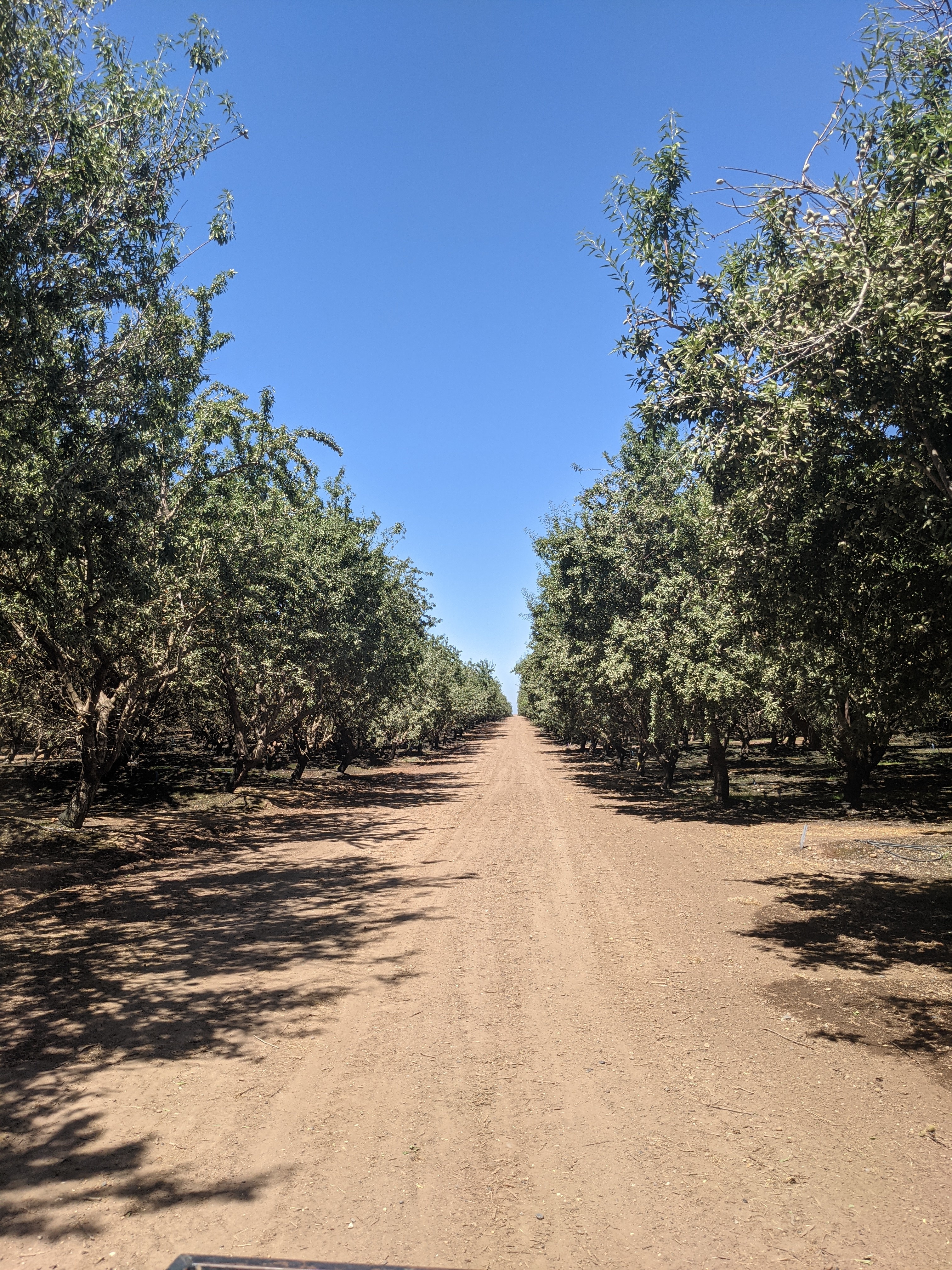 Farmer Adam OnlyFans header