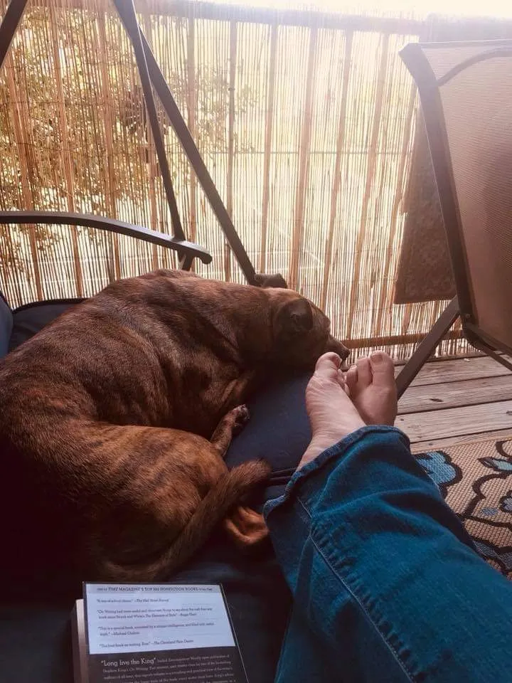 Farm Girl OnlyFans header