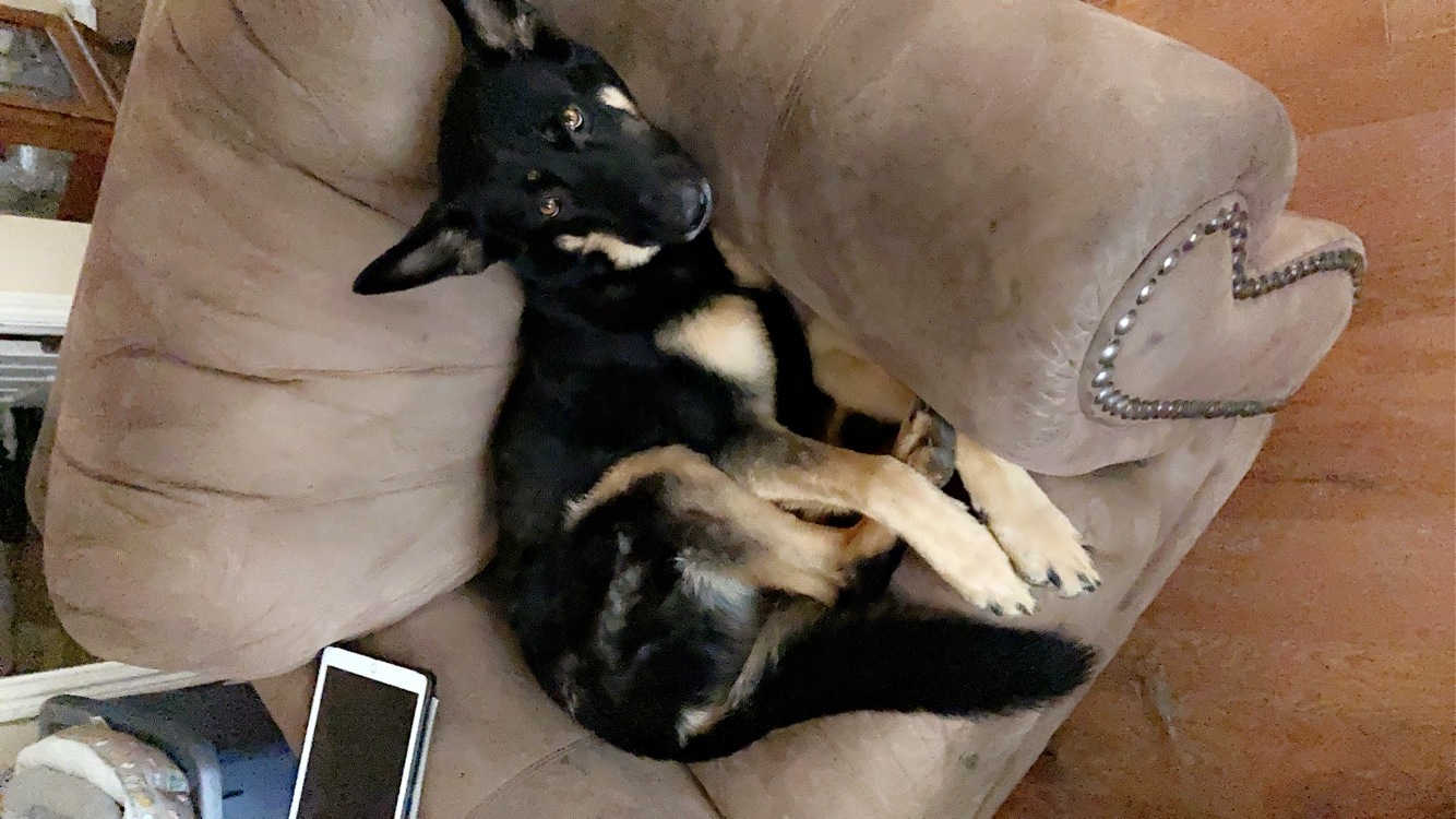 FarmgrownFishin OnlyFans header