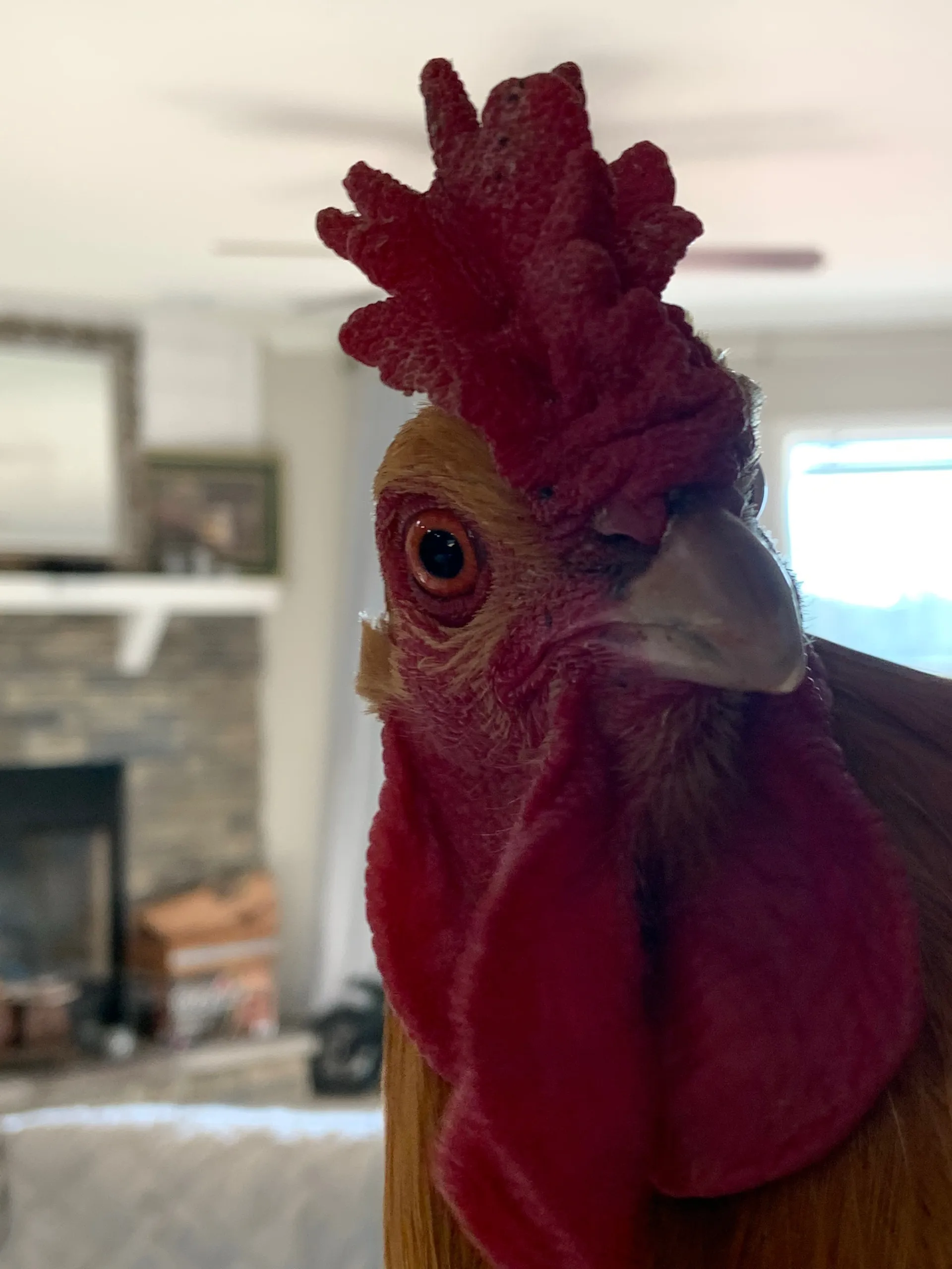 FarmhandMae VIP OnlyFans header