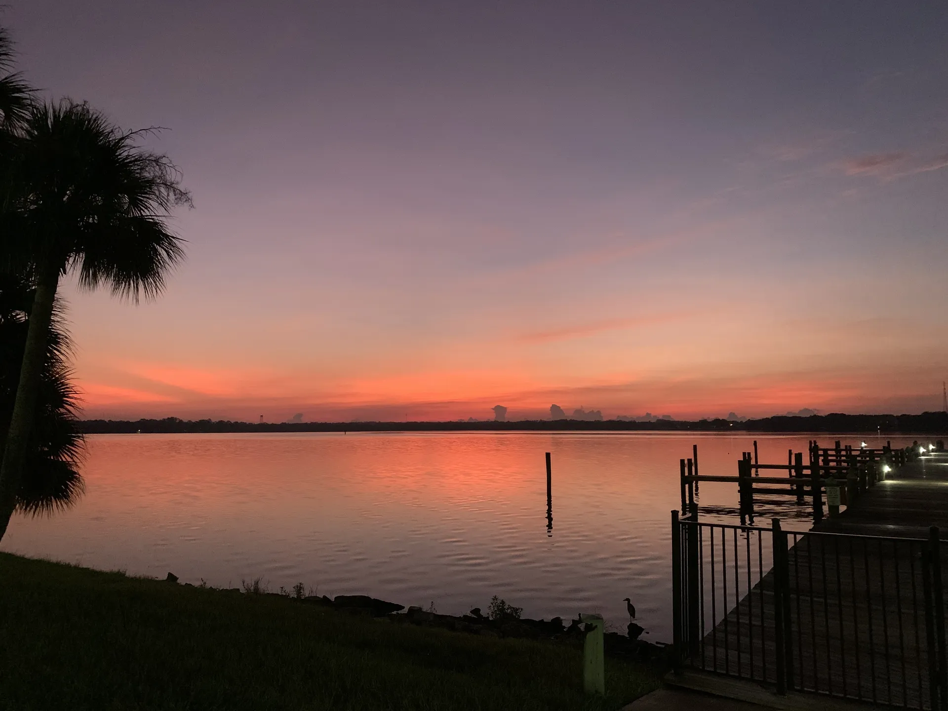 Farris OnlyFans header