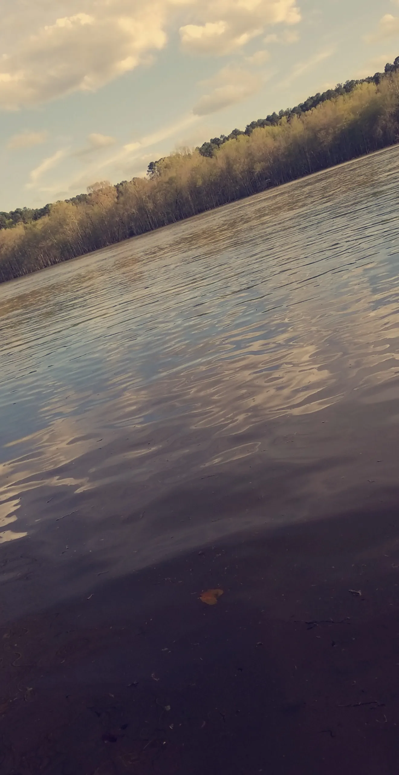 Faryen Hyte OnlyFans header