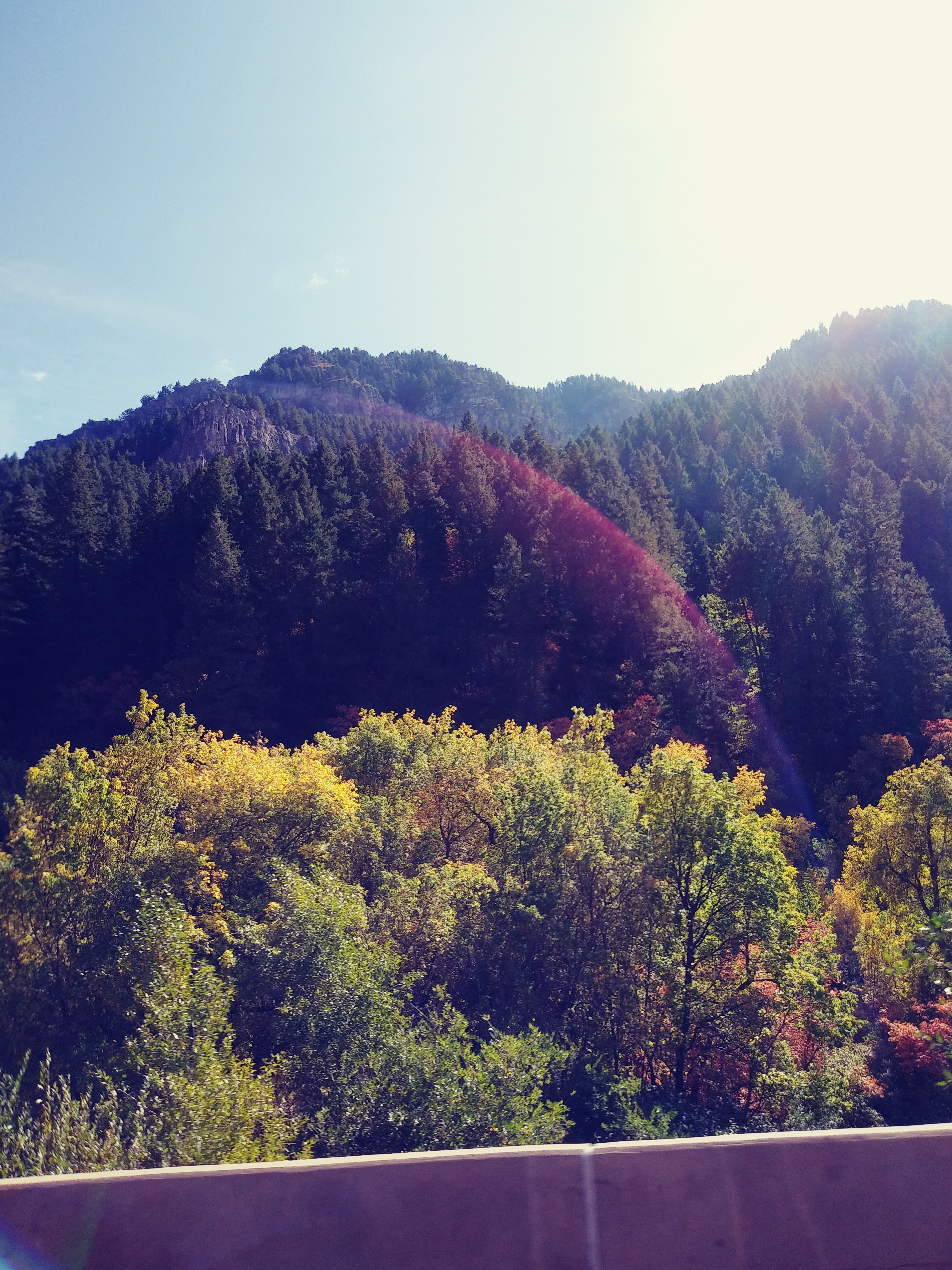 Lance OnlyFans header