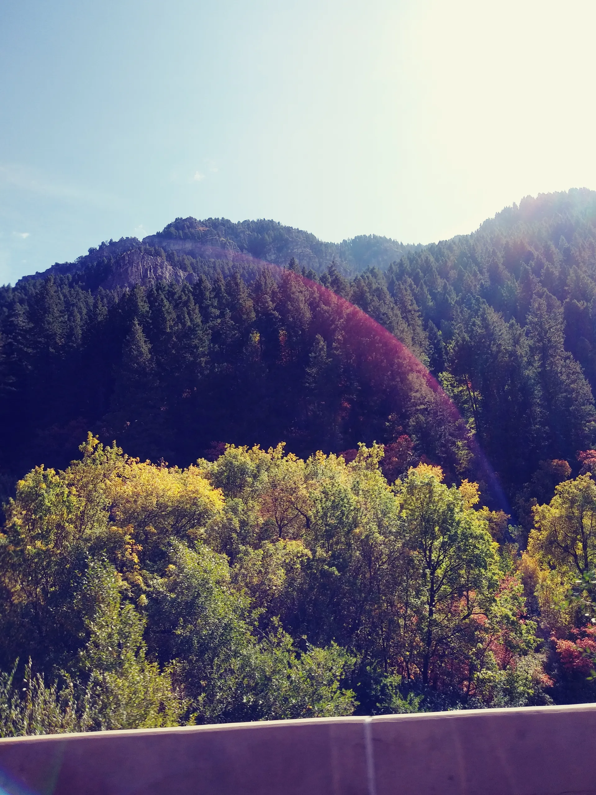 Lance OnlyFans header