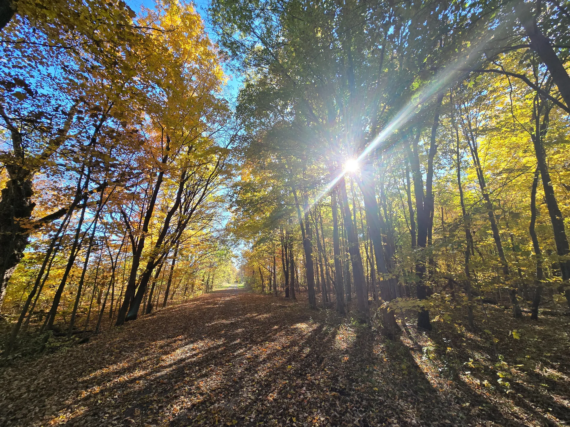 britt OnlyFans header