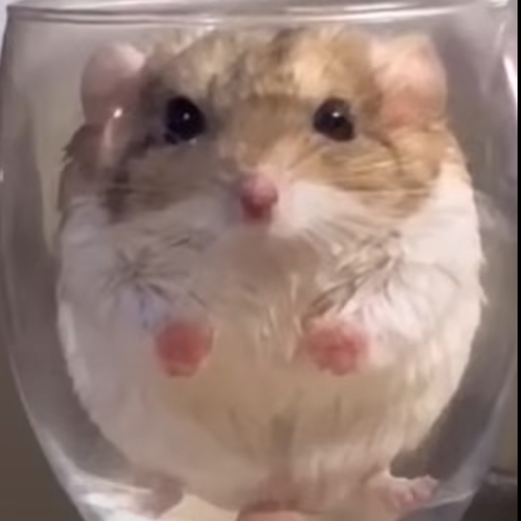 SomeFatAssedItalian OnlyFans