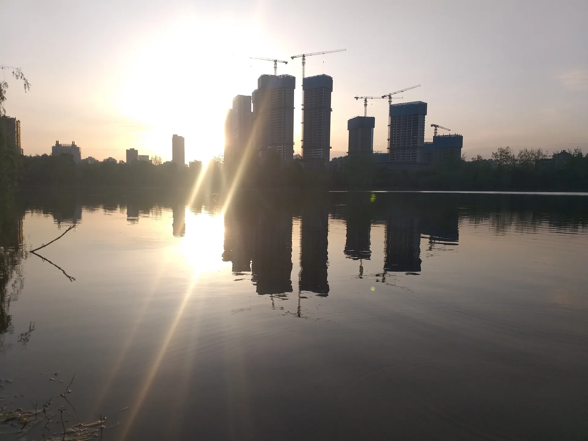 Dogman OnlyFans header