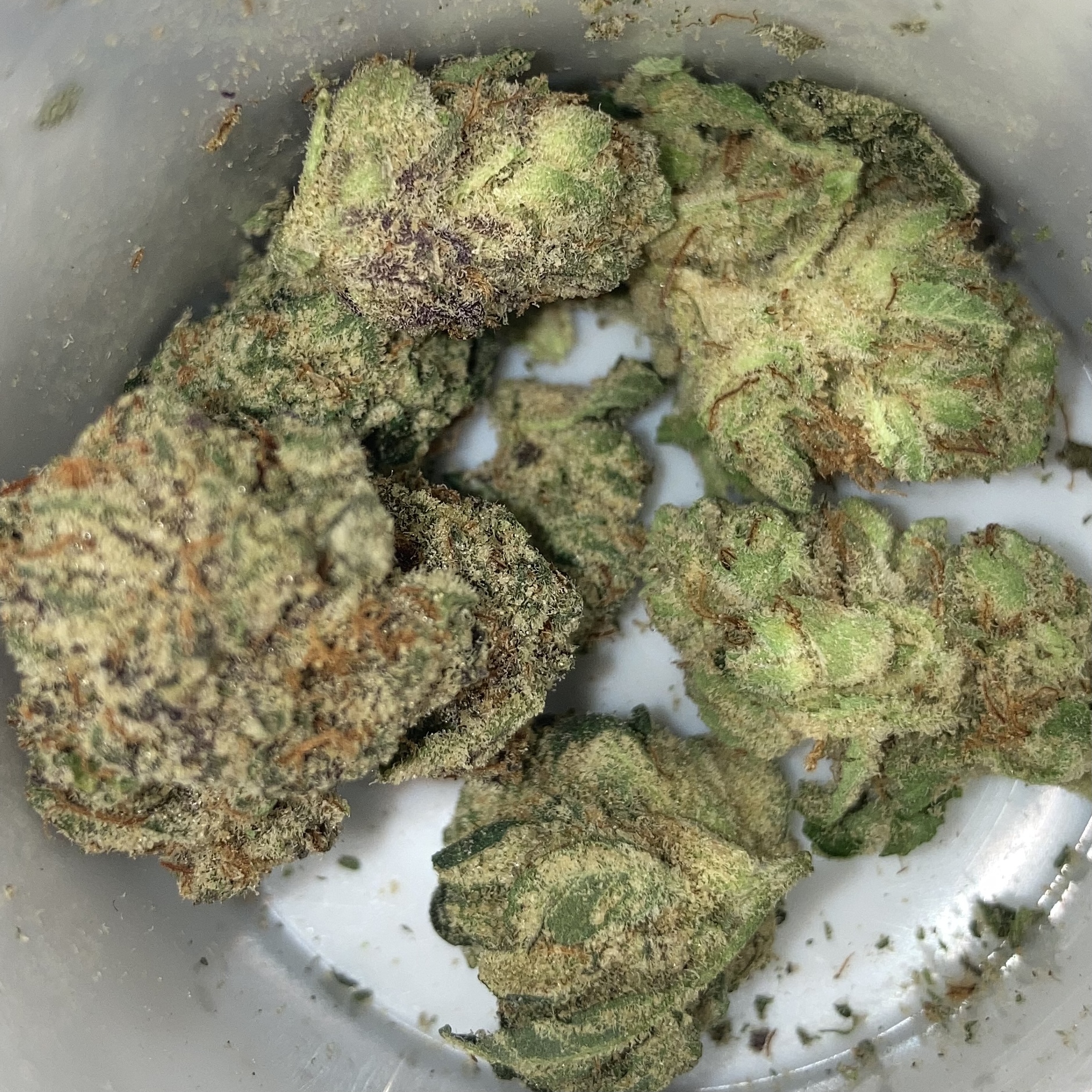 ChrisBVlogs OnlyFans header