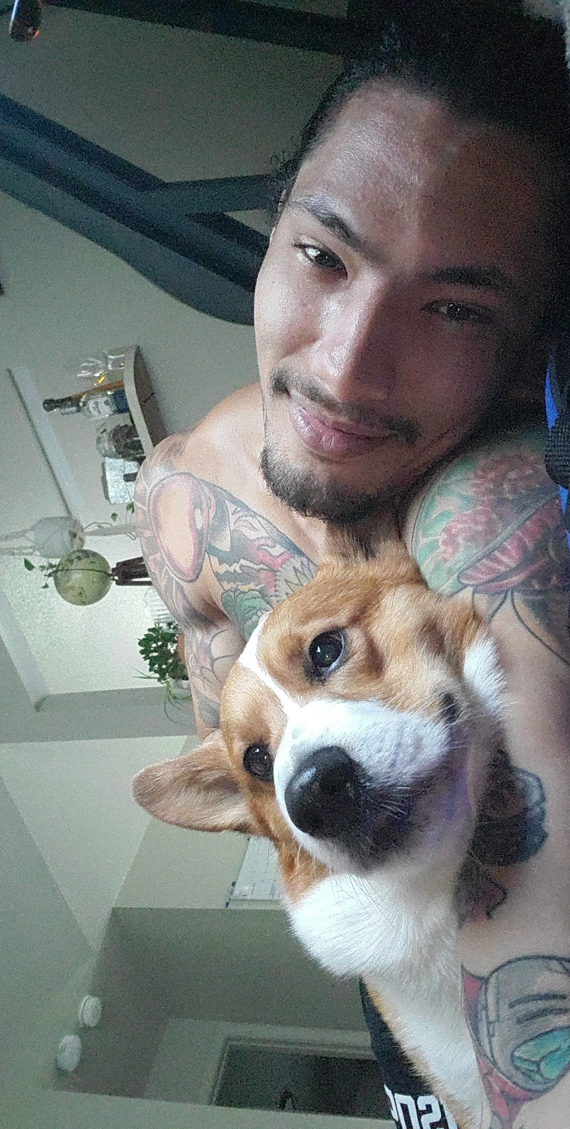 Ponyboy OnlyFans header