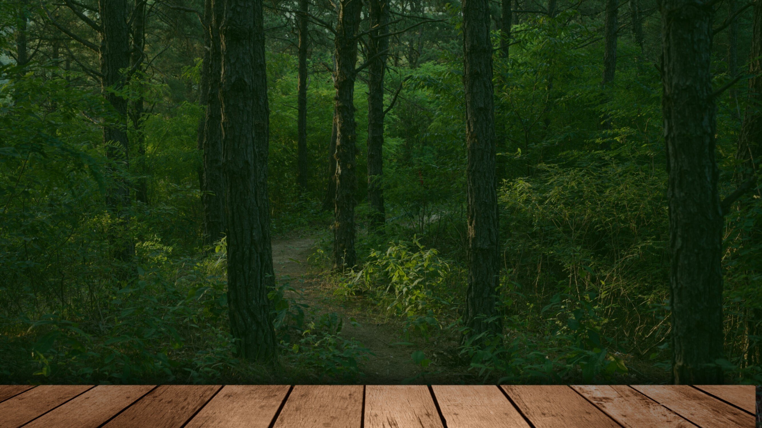 Fatima OnlyFans header