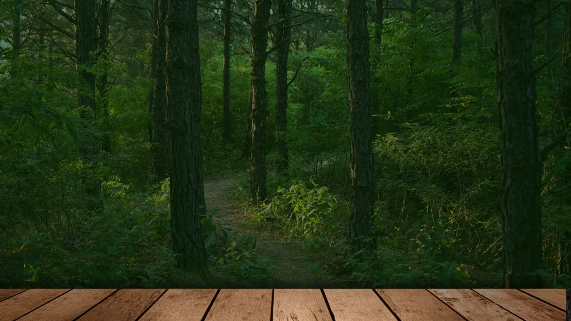 Fatima OnlyFans header