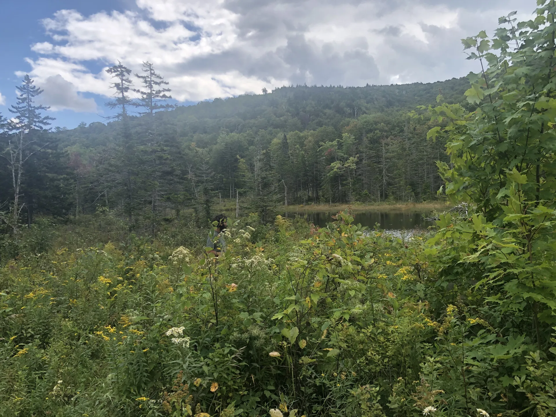 VTmama2 OnlyFans header