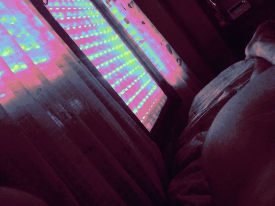 Sweet🐻 OnlyFans header