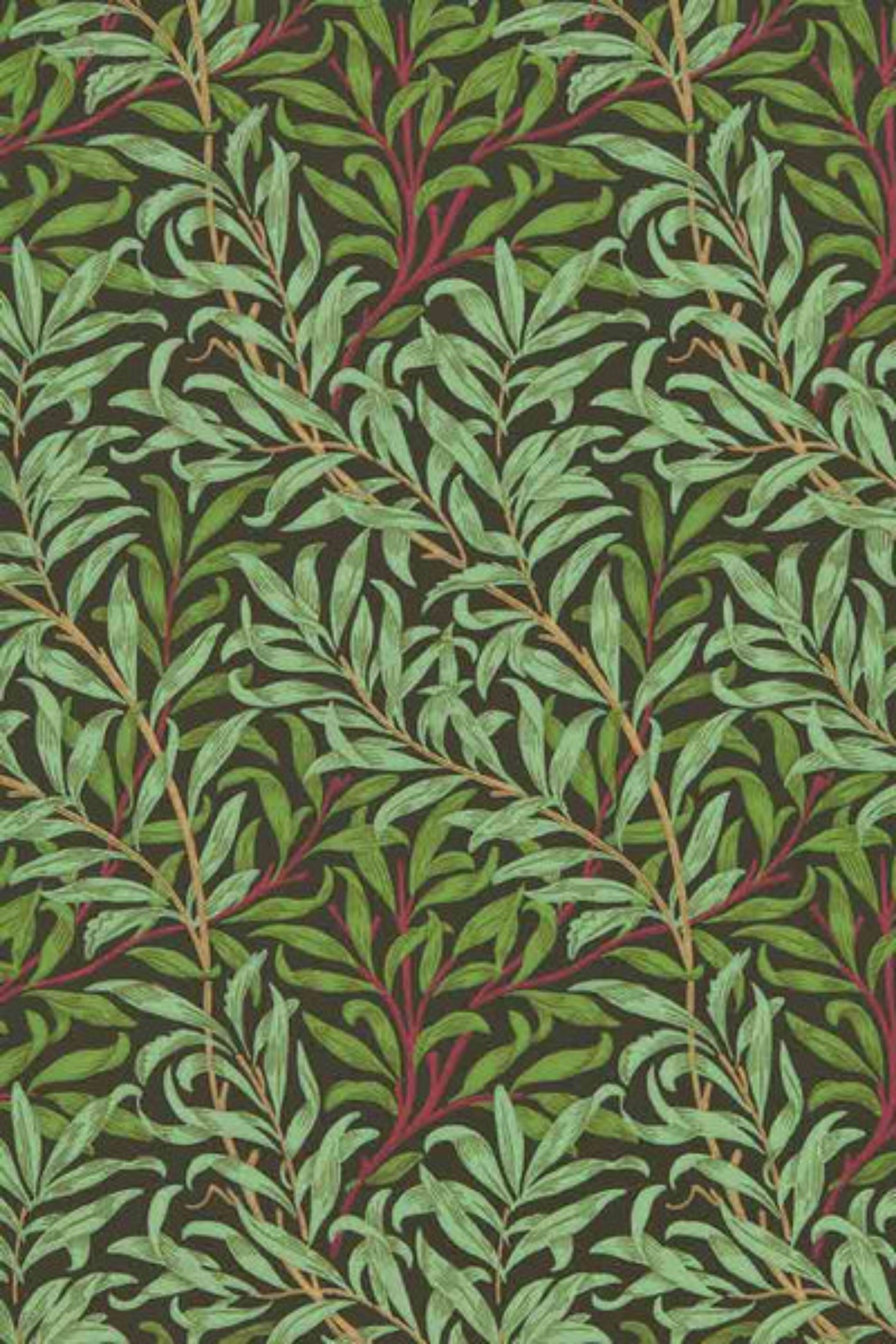 FatterIGrow OnlyFans header